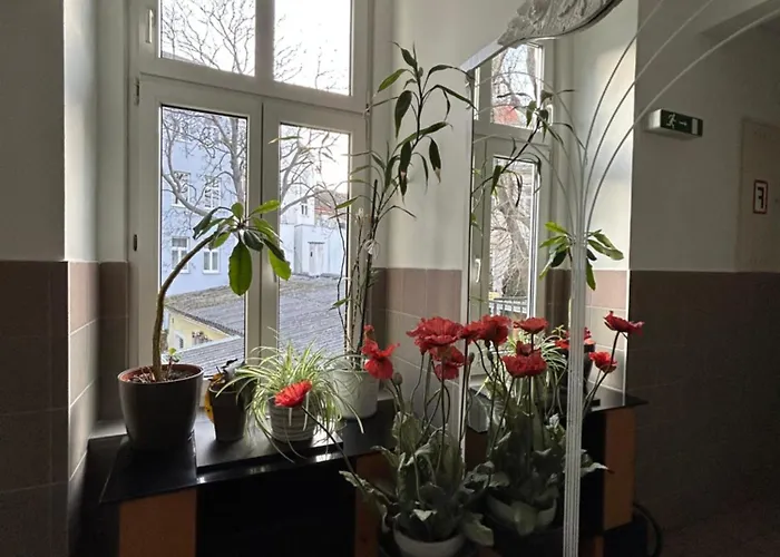 Reiner 12 Apartment