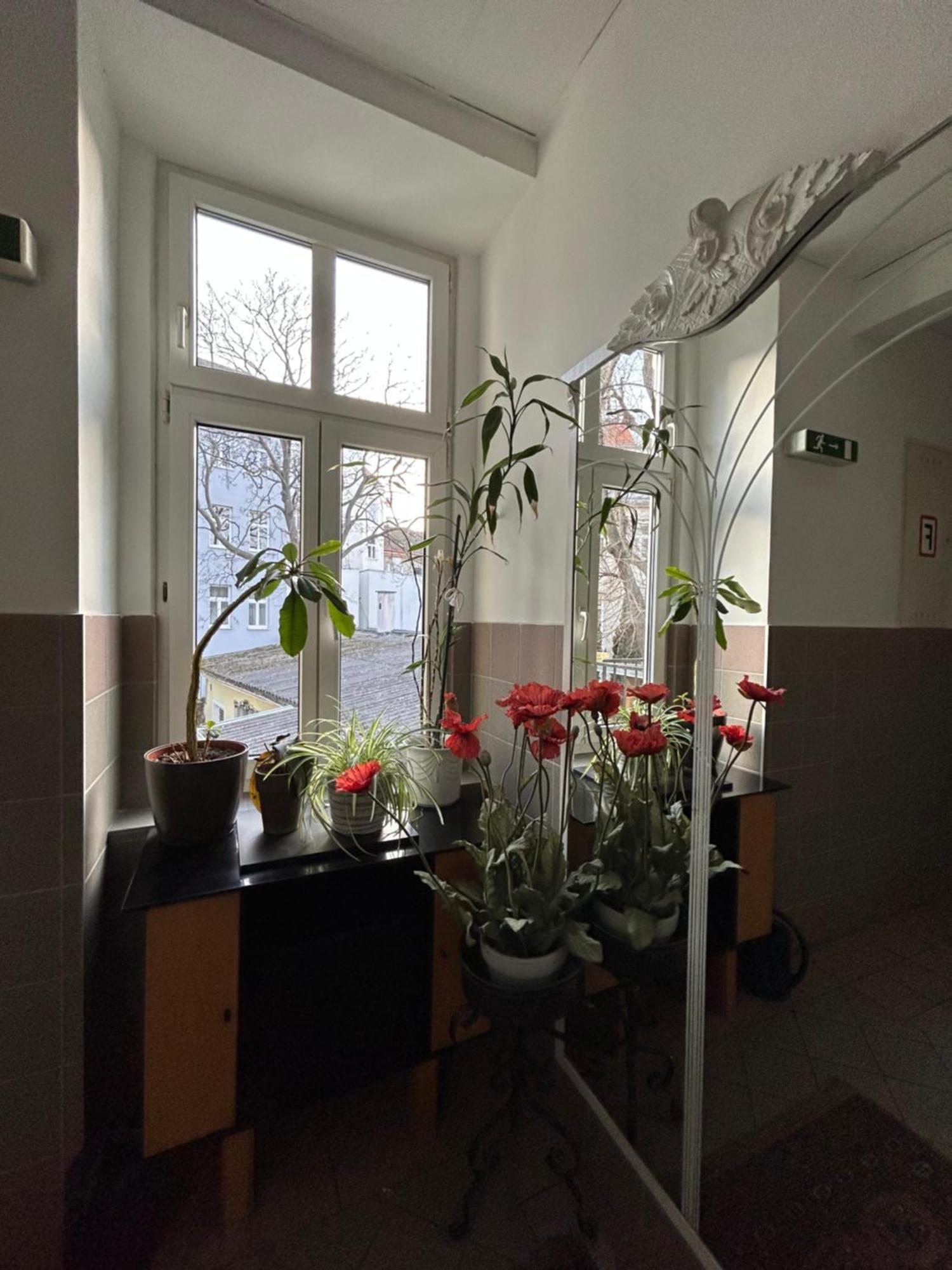 Reiner 12 Wenen
